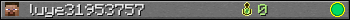luye31953757 userbar 350x20