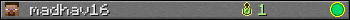 madhav16 userbar 350x20