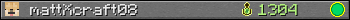 mattXcraft08 userbar 350x20