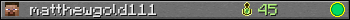 matthewgold111 userbar 350x20