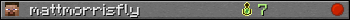 mattmorrisfly userbar 350x20