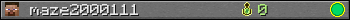 maze2000111 userbar 350x20