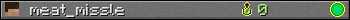 meat_missle userbar 350x20