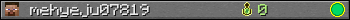 mehyeju07819 userbar 350x20