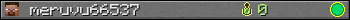meruvu66537 userbar 350x20