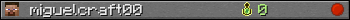 miguelcraft00 userbar 350x20