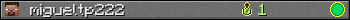migueltp222 userbar 350x20