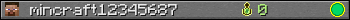 mincraft12345687 userbar 350x20