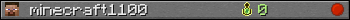 minecraft1100 userbar 350x20