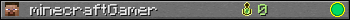 minecraftGamer userbar 350x20