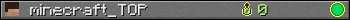 minecraft_TOP userbar 350x20