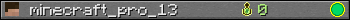 minecraft_pro_13 userbar 350x20