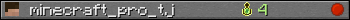 minecraft_pro_tj userbar 350x20