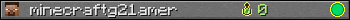 minecraftg21amer userbar 350x20