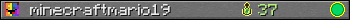 minecraftmario19 userbar 350x20