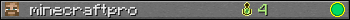 Юзербар 350x20 для minecraftpro