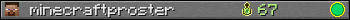 minecraftproster userbar 350x20