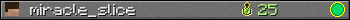 miracle_slice userbar 350x20