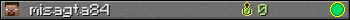 misagta84 userbar 350x20