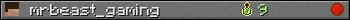 mrbeast_gaming userbar 350x20