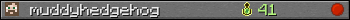 muddyhedgehog userbar 350x20