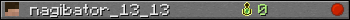 nagibator_13_13 userbar 350x20