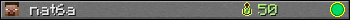 nat6a userbar 350x20