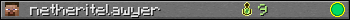 netheritelawyer userbar 350x20