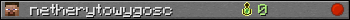 netherytowygosc userbar 350x20