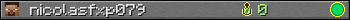 nicolasfxp079 userbar 350x20