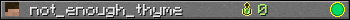 not_enough_thyme userbar 350x20