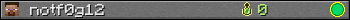 notf0g12 userbar 350x20