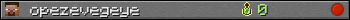 opezevegeye userbar 350x20
