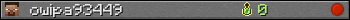 owipa93449 userbar 350x20