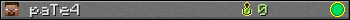 paTe4 userbar 350x20