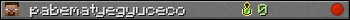 pabematyegyuceco userbar 350x20