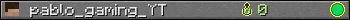 pablo_gaming_YT userbar 350x20