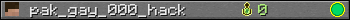 pak_gay_000_hack userbar 350x20