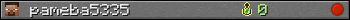 pameba5335 userbar 350x20