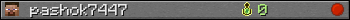 pashok7447 userbar 350x20