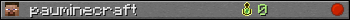 pauminecraft userbar 350x20