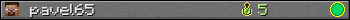 pavel65 userbar 350x20