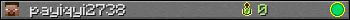 payiqyi2738 userbar 350x20