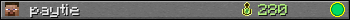 paytie userbar 350x20