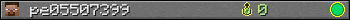 pe05507399 userbar 350x20