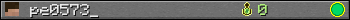pe0573_ userbar 350x20