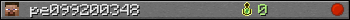 pe099200348 userbar 350x20