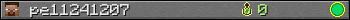 pe11241207 userbar 350x20