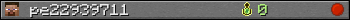 pe22939711 userbar 350x20