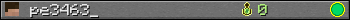 pe3463_ userbar 350x20